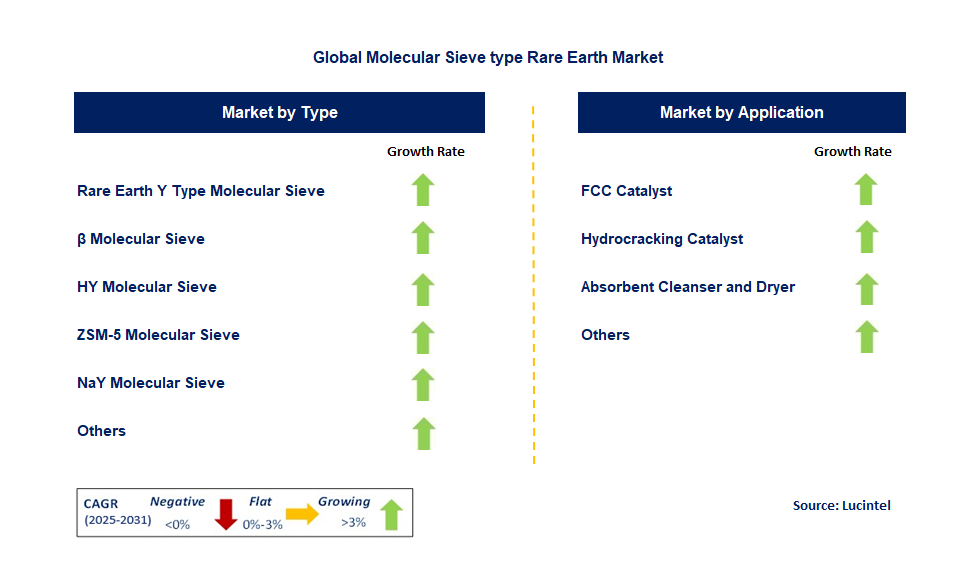 Molecular Sieve Type Rare Earth Market by Segment