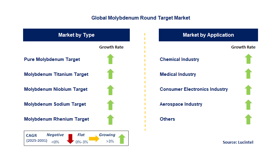 Molybdenum Round Target Market by Segment