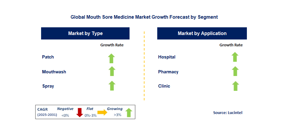 Mouth Sore Medicine Market by Segment