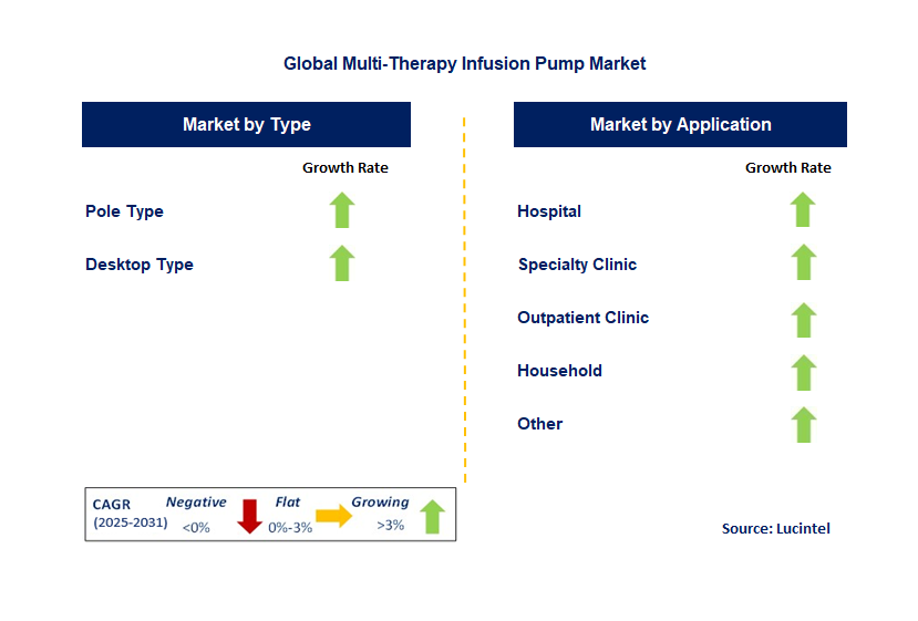 Multi-Therapy Infusion Pump Market by Segment