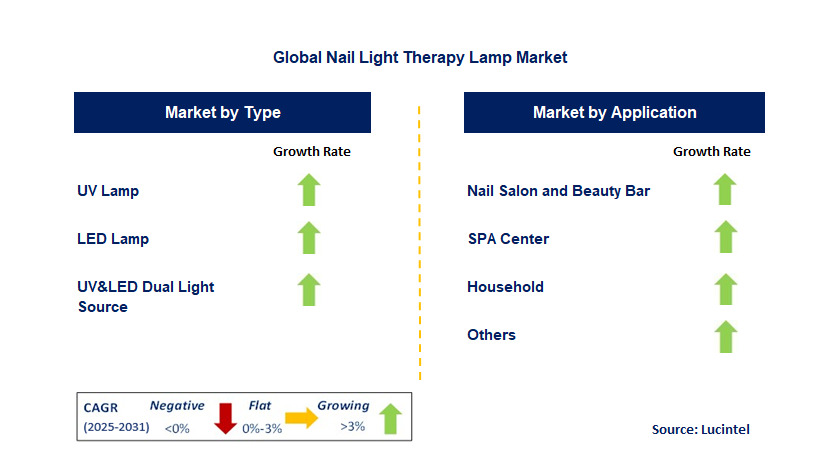 Nail Light Therapy Lamp Market by Segment