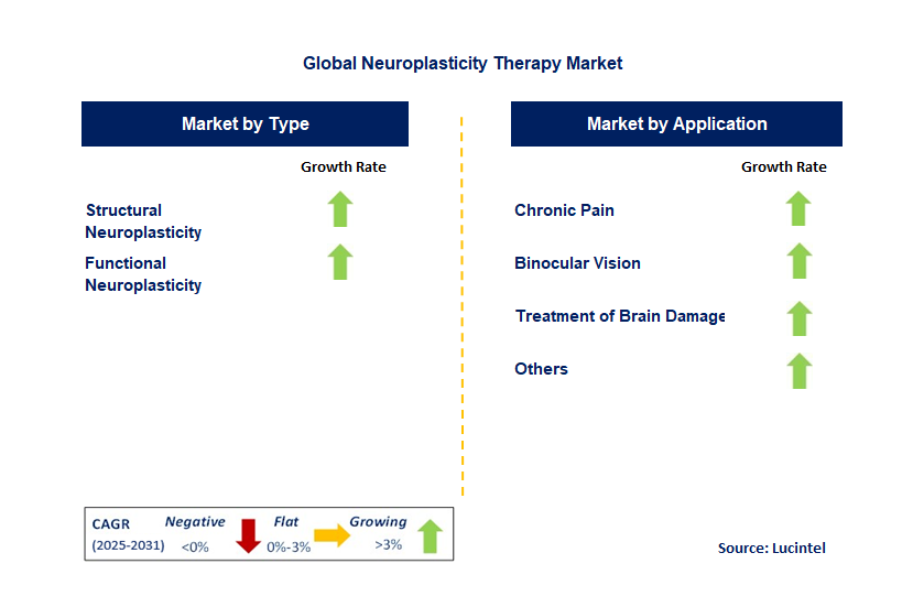 Neuroplasticity Therapy Market by Segment