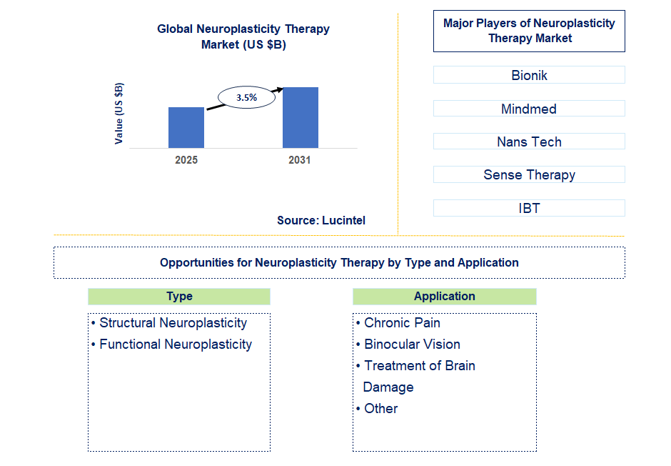 Neuroplasticity Therapy Market Trends and Forecast
