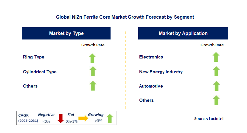 NiZn Ferrite Core Market by Segment