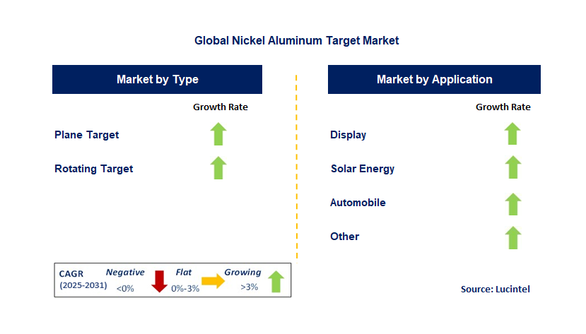 Nickel Aluminum Target Market by Segment