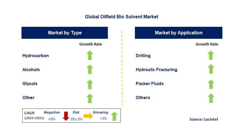 Oilfield Bio Solvent Market by Segment