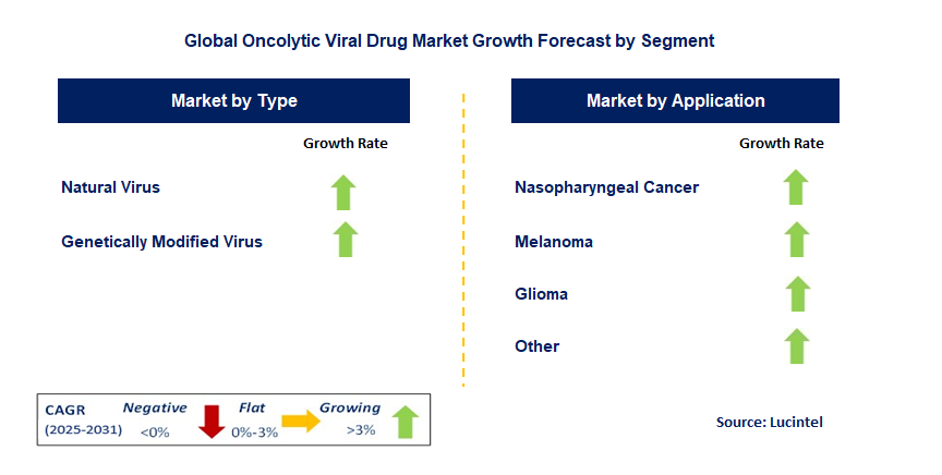Oncolytic Viral Drug Market by Segment