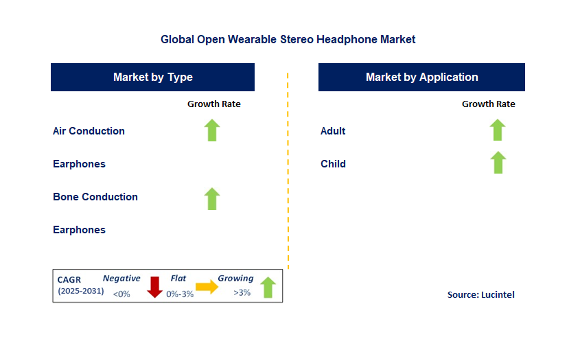 Open Wearable Stereo Headphone Market by Segment