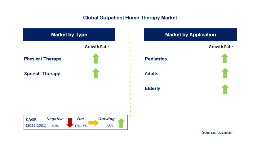 Outpatient Home Therapy Market by Segment