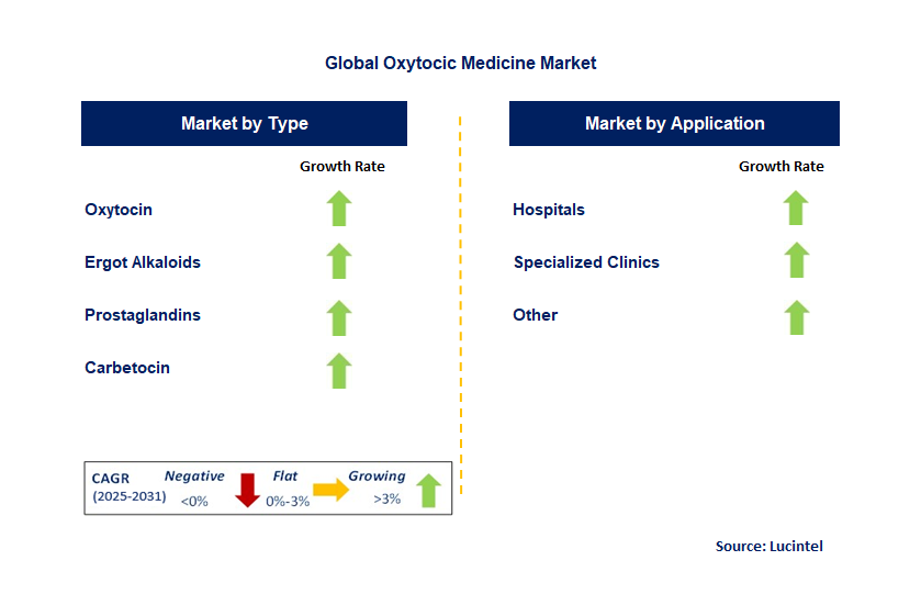 Oxytocic Medicine Market by Segment