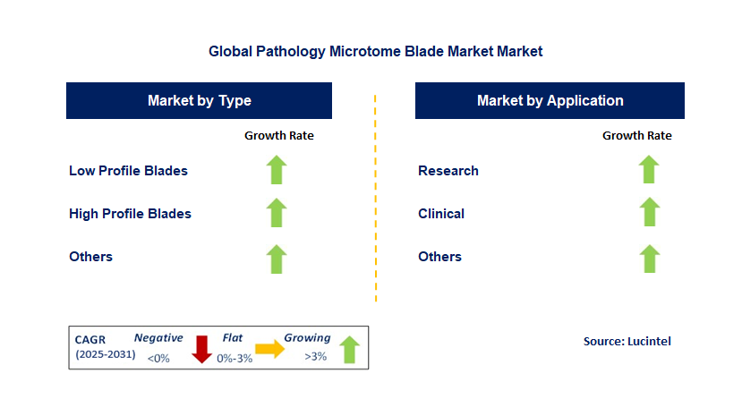 Pathology Microtome Blade Market by Segment
