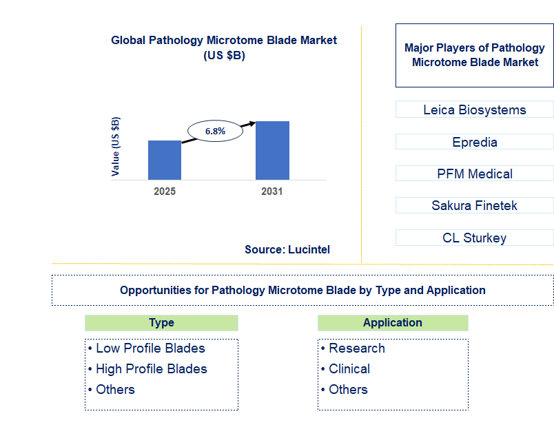 Pathology Microtome Blade Market Trends and Forecast