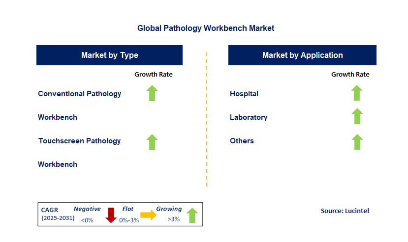 Pathology Workbench Market by Segment