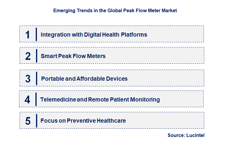 Emerging Trends in the Peak Flow Meter Market