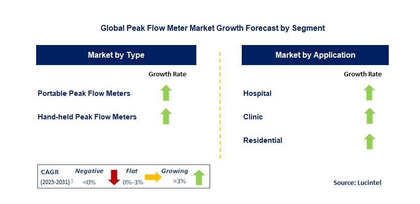 Peak Flow Meter Market by Segment