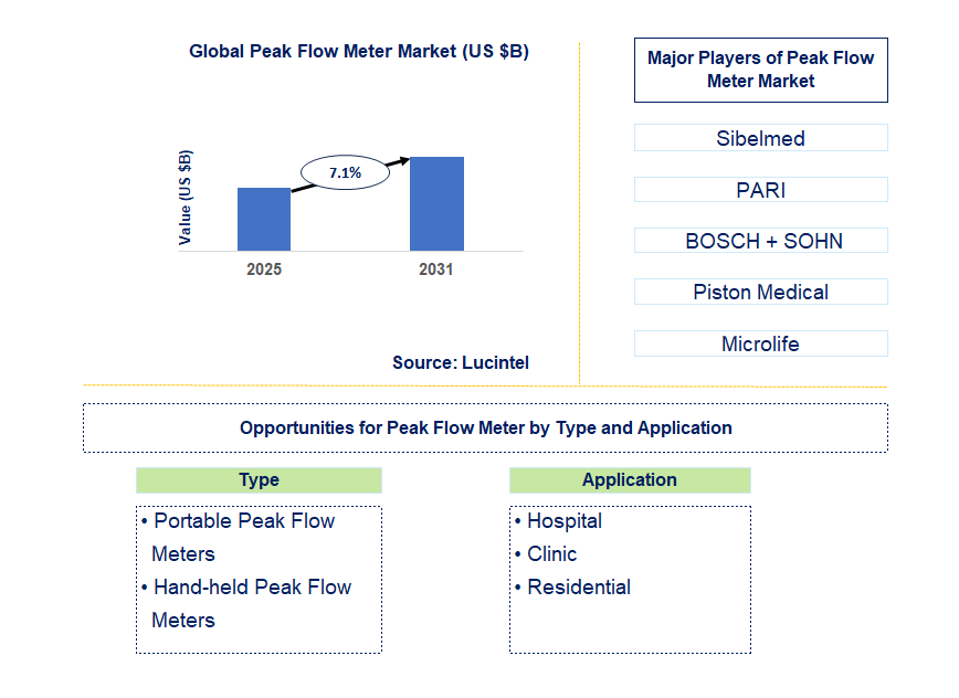 Peak Flow Meter Market Trends and Forecast