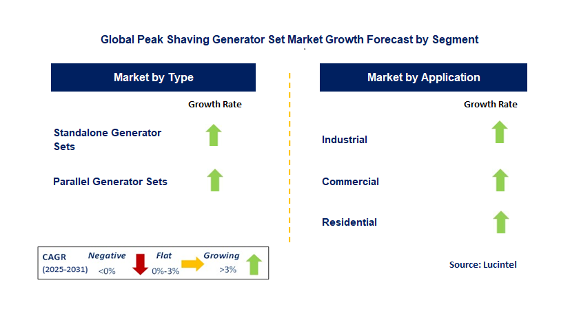 Peak Shaving Generator Set Market by Segment