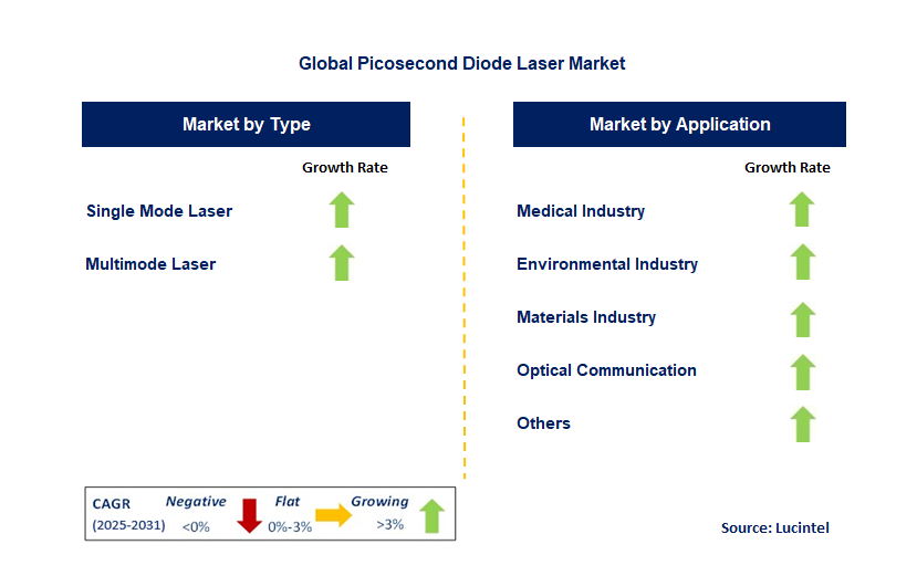 Picosecond Diode Laser Market by Segment