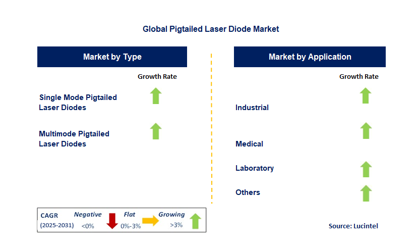Pigtailed Laser Diode Market by Segment