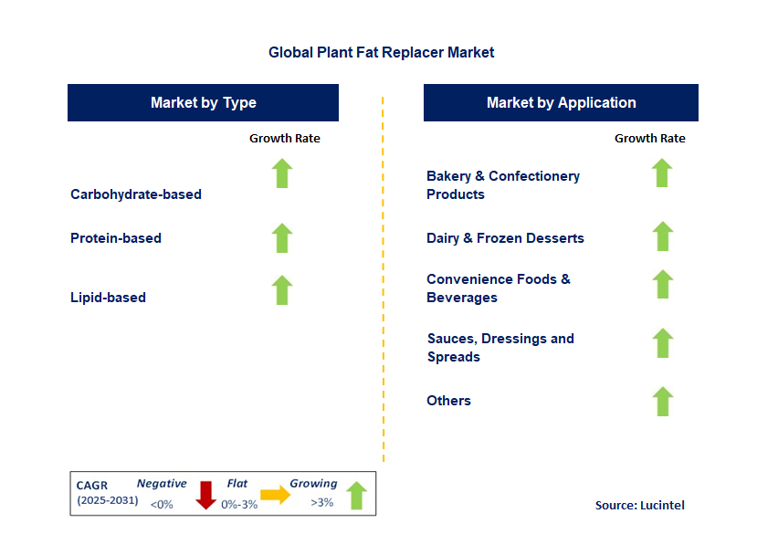Plant Fat Replacer Market by Segment