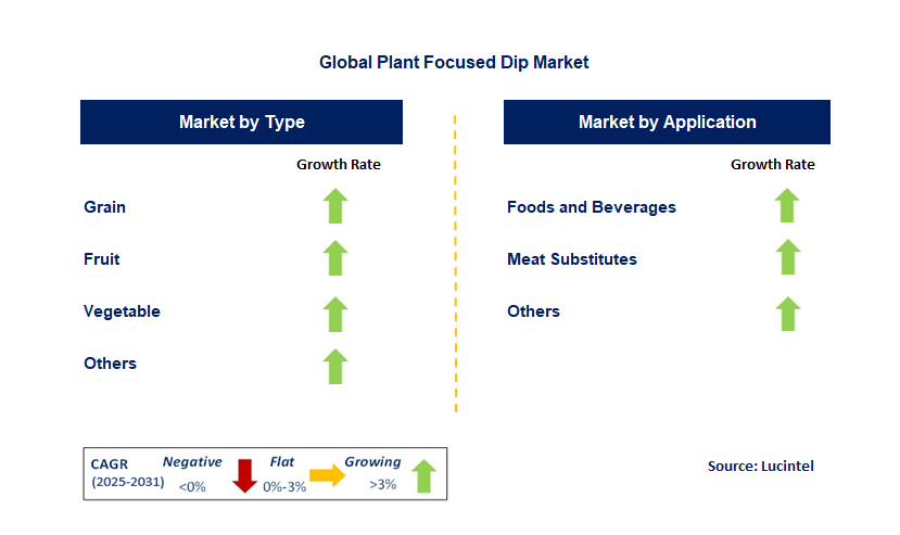 Plant Focused Dip Market by Segment