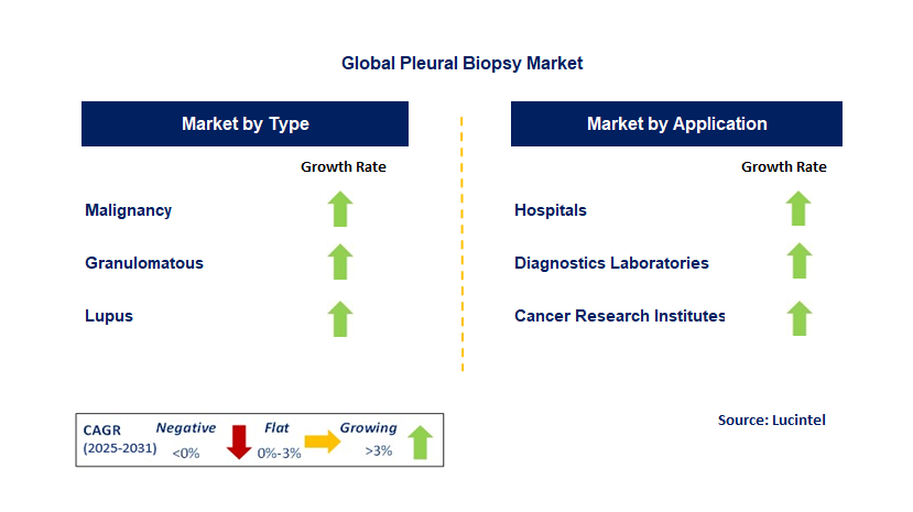Pleural Biopsy Market by Segment