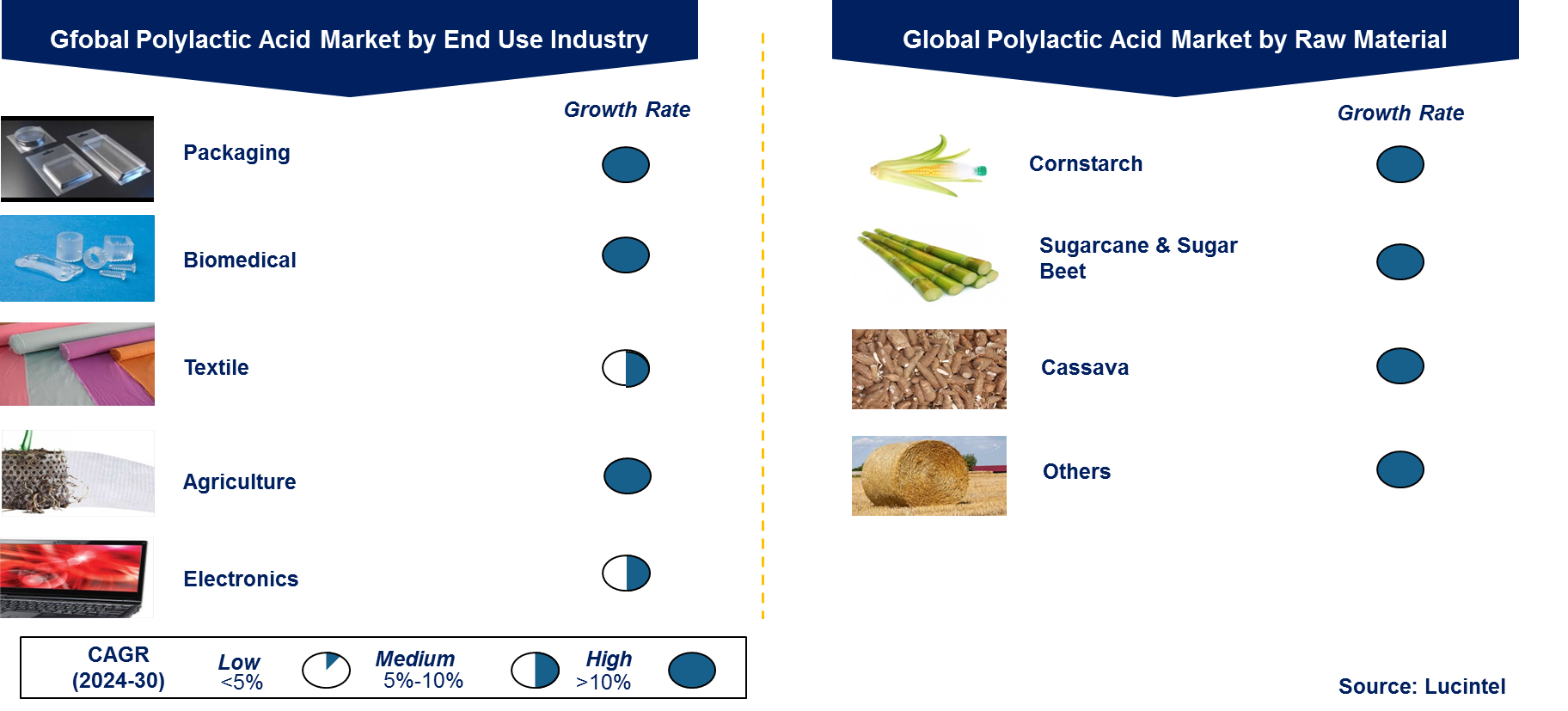 Polylactic Acid Market by Segment