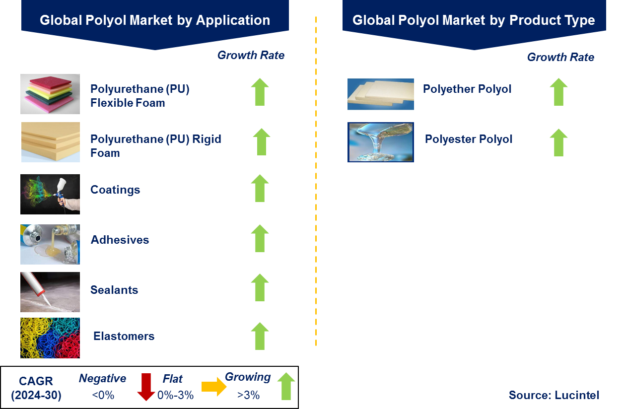 Polyol Market by Segment