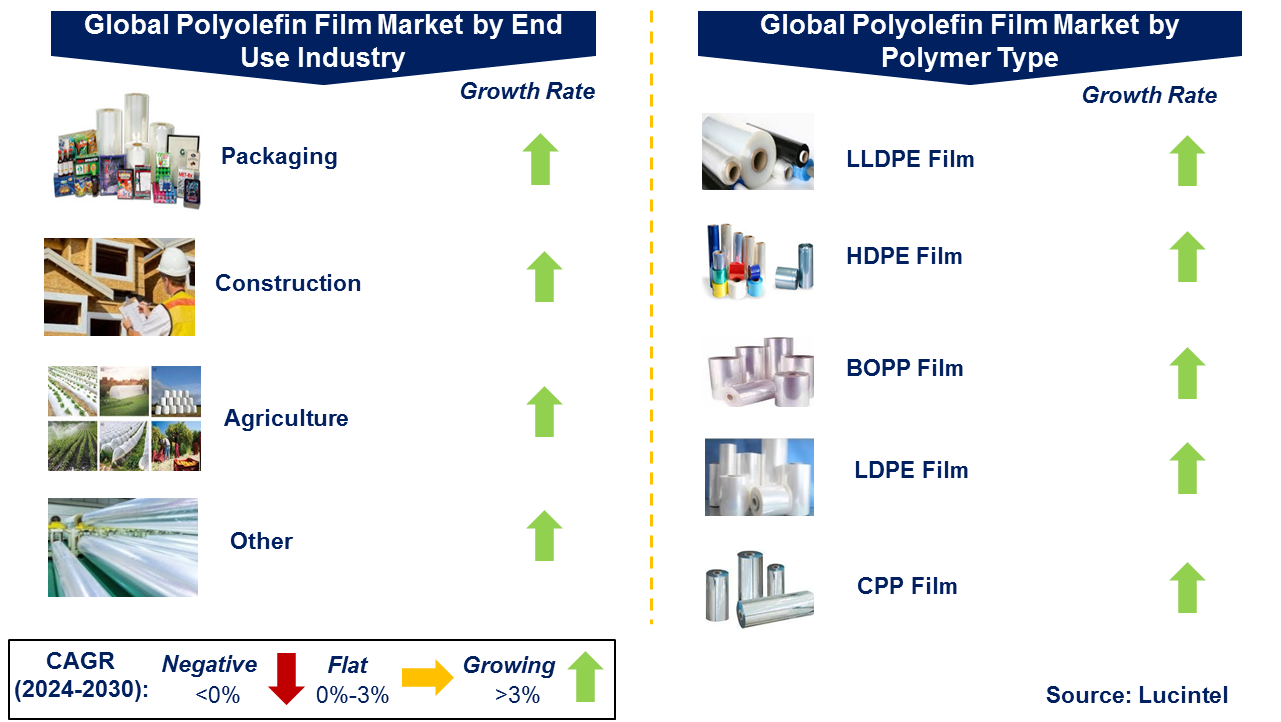 Polyolefin Film Market by Segment