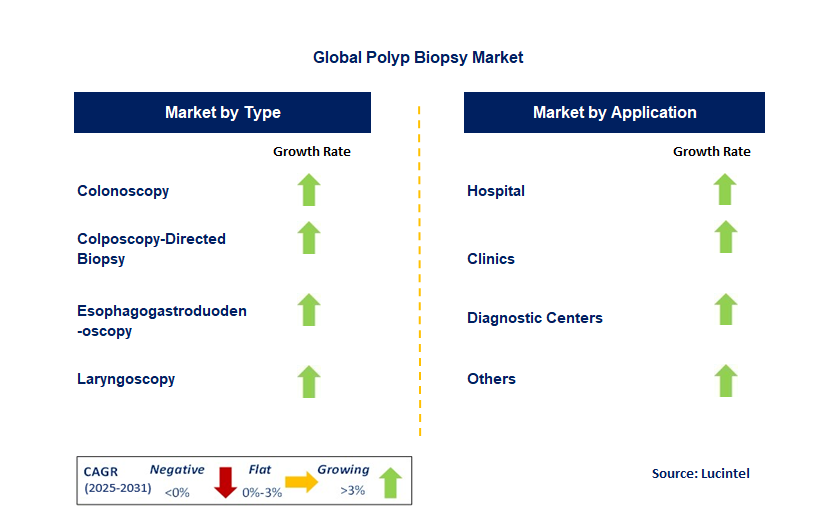 Polyp Biopsy Market by Segment