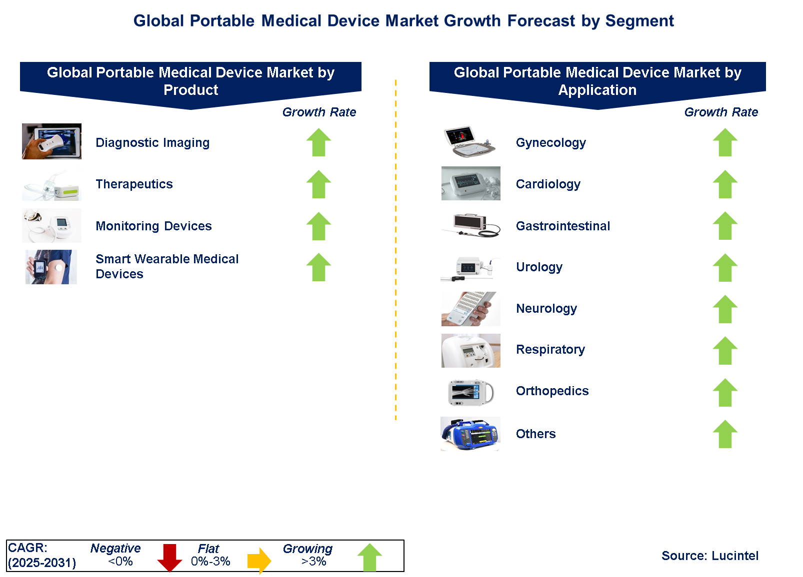 Portable Medical Devices by Segment