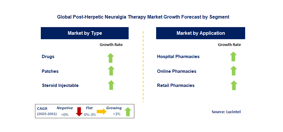 Post-Herpetic Neuralgia Therapy Market by Segment