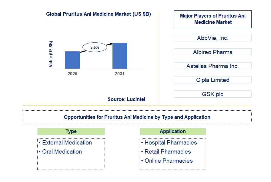 Pruritus Ani Medicine Market Trends and Forecast