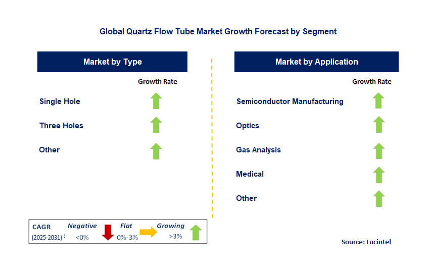 Quartz Flow Tube Market by Segment