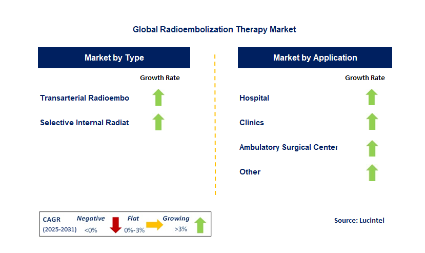 Radioembolization Therapy Market by Segment
