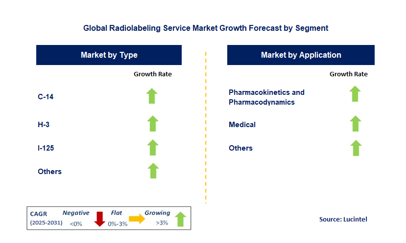 Radiolabeling Service Market by Segment