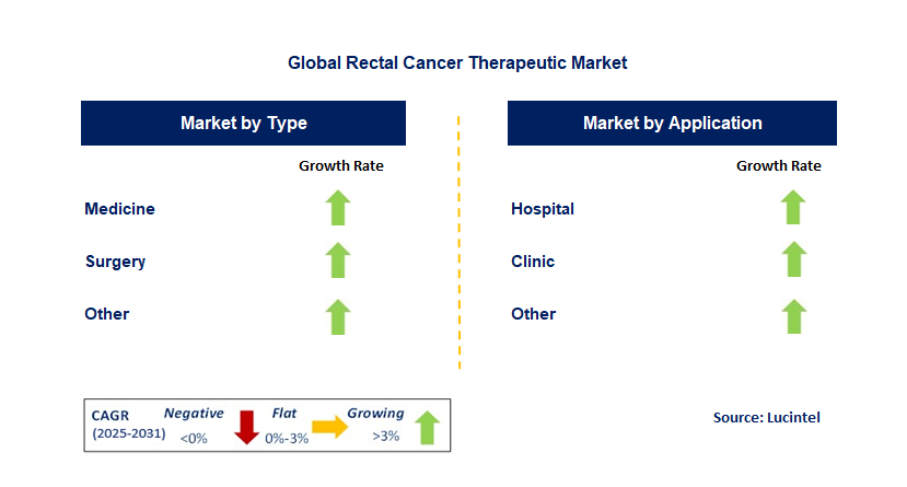 Rectal Cancer Therapeutic Market by Segment