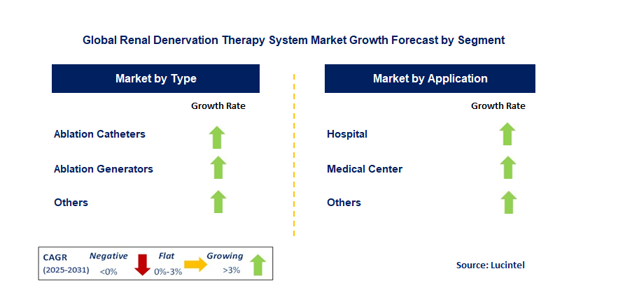 Renal Denervation Therapy System Market by Segment