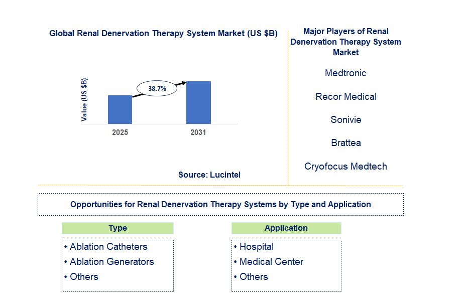 Renal Denervation Therapy System Market Trends and Forecast