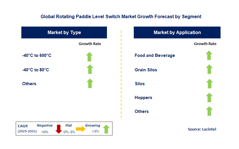 Rotating Paddle Level Switch Market by Segment