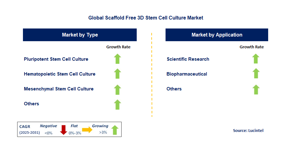 Emerging Trends in the Scaffold Free 3D Stem Cell Culture Market