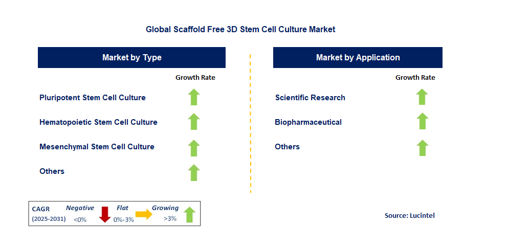 Scaffold Free 3D Stem Cell Culture Market by Segment