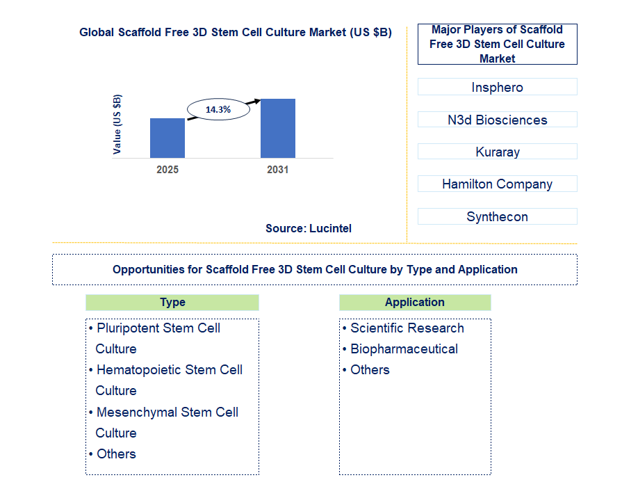 Scaffold Free 3D Stem Cell Culture Market Trends and Forecast