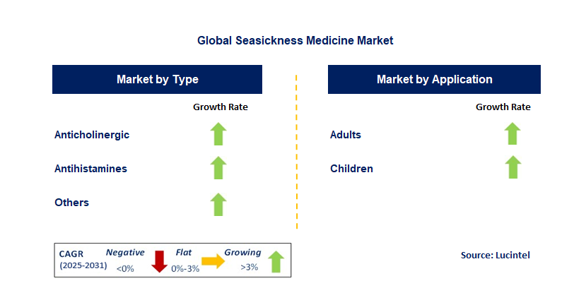 Seasickness Medicine Market by Segment