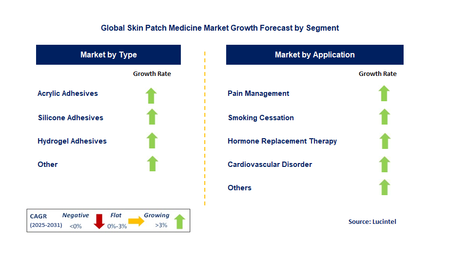 Skin Patch Medicine Market by Segment