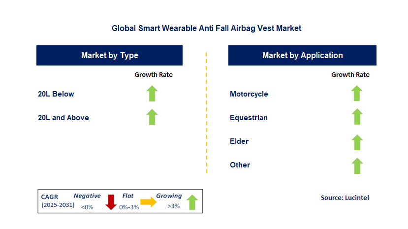 Smart Wearable Anti Fall Airbag Vest Market by Segment