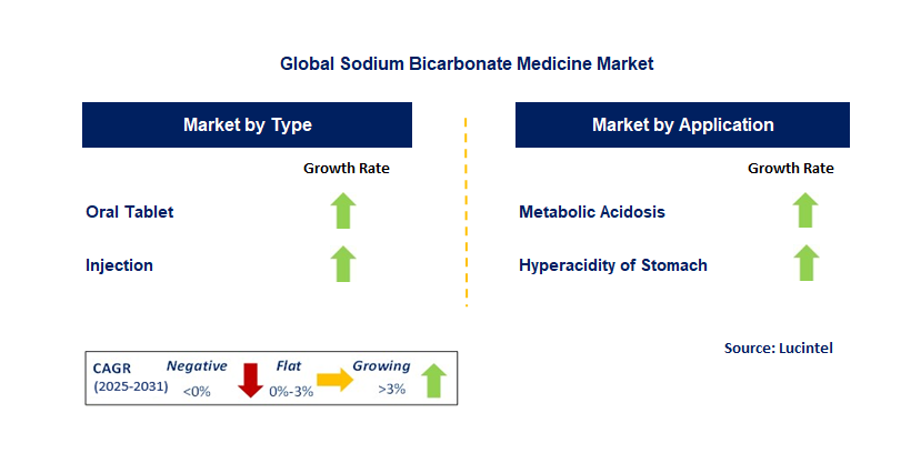 Sodium Bicarbonate Medicine Market by Segment