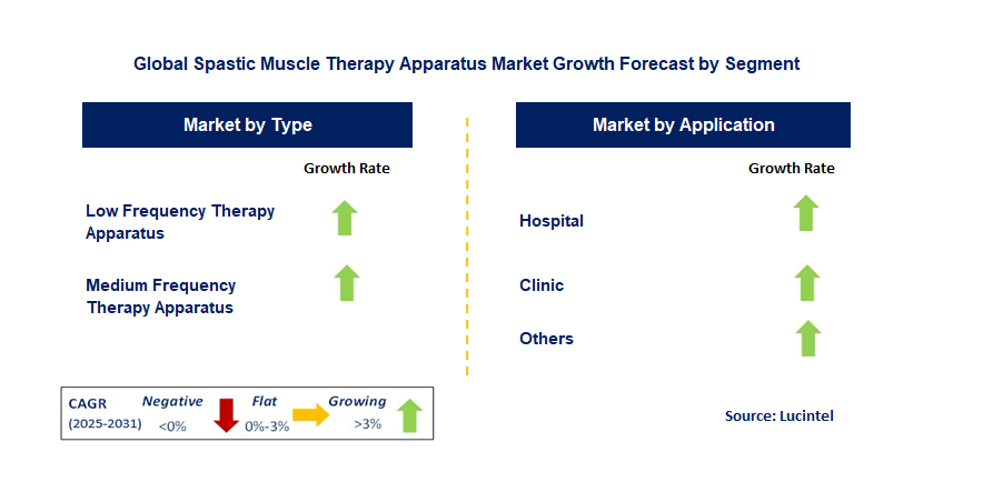 Spastic Muscle Therapy Apparatus Market by Segment