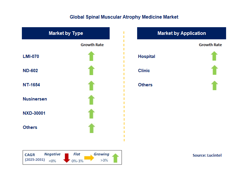 Spinal Muscular Atrophy Medicine Market by Segment