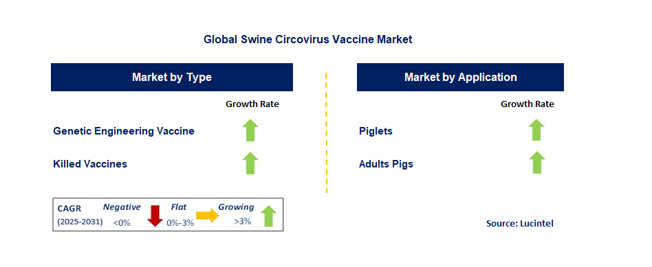 Swine Circovirus Vaccine Market by Segment